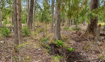 2636 Barnhardt Rd, Careywood, ID 83809