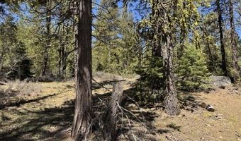 Horned Owl Lane, Bonanza, OR 97623
