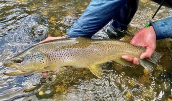 Riverway Road lot 15 A Tbd, Belgrade, MT 59714