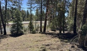 Horned Owl Lane, Bonanza, OR 97623