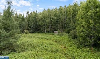 Samuelson Rd, Angora, MN 55703