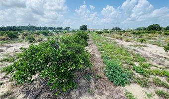 1115 Basket Lake Rd, Avon Park, FL 33825