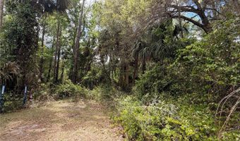 COUNTY ROAD 445A, Astor, FL 32102