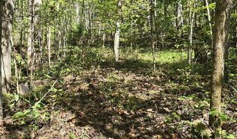 HURT HOLLOW RD, Banco, VA 22711