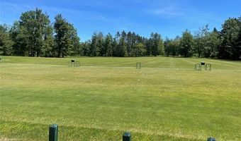 2596 E Fox Rd, Alcona, MI 48742