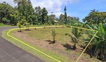NENE ST, Hilo, HI 96720
