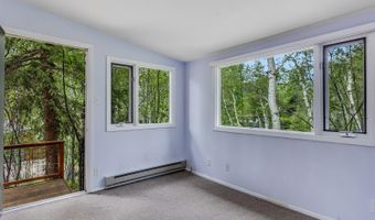 203 Eastwood Dr, Aspen, CO 81611