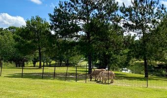 24 Ouacasee Creek Rd, Carriere, MS 39426