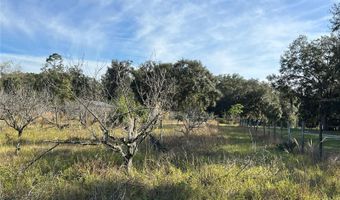 18250 RAVENSWOOD Rd, Altoona, FL 32702