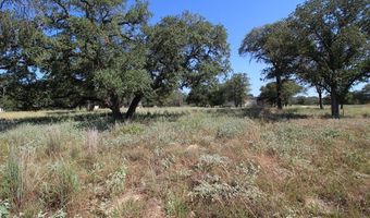 105 Pioneer Trl, Adkins, TX 78101