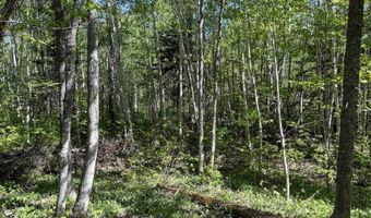 Gratiot River Road lot A, Allouez, MI 49805