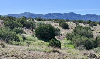TR 111 Sierra La Rana, Alpine, TX 79830
