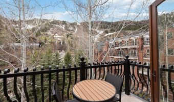 415 E Dean St. Unit 31 Week 11, Aspen, CO 81611