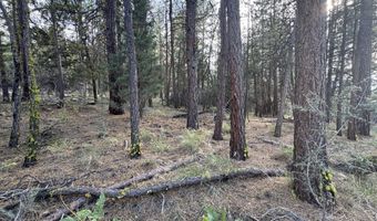 0 Partin Dr 6, Beatty, OR 97621
