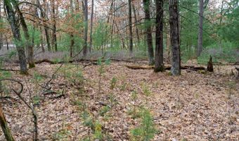 Dover Drive lot 1 14 Ac, Adams, WI 53910