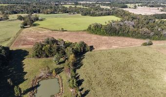 Battles Road lot 5, Ashford, AL 36312