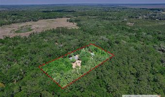 15522 SW 75TH St, Archer, FL 32618