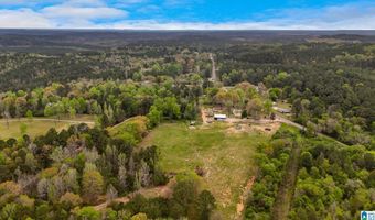 3237 MUD CREEK Rd, Adger, AL 35006
