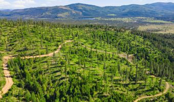 NNA Stone Rd Lot 5 20.0 Acres, Blanchard, ID 83804