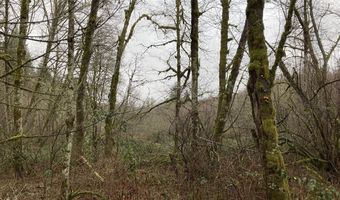 NE 197th Ct, Amboy, WA 98601