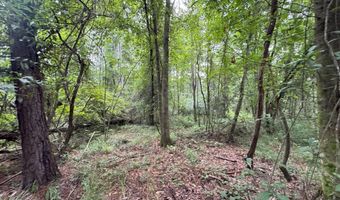 32531 Chapel Pine Drive Lot Cdt5, Albany, LA 70711