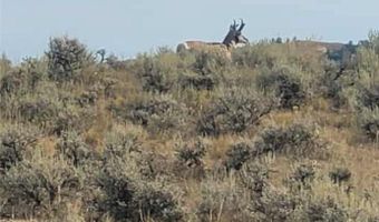 194 N Dry Creek Rd, Bridger, MT 59014