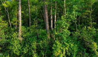 Whiteville Road NW lot 1, Ash, NC 28420