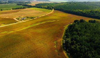 1037 Cr 300, Big Creek, MS 38914
