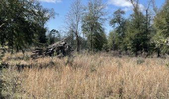 Speights Way, Bascom, FL 32423