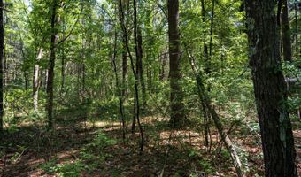 19 Th Pass Lot 132, Arkdale, WI 54613