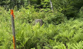 1386 Clif Reynolds Rd, Cambridge, VT 05444