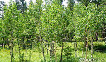 246 Tahosa Park S Rd, Allenspark, CO 80510