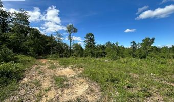 MT ZION RD, Big Sandy, TN 38221