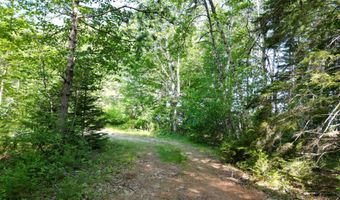 Lot 39 Southwest Brook Lane, Beddington, ME 04622