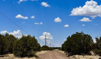 52 ACR 8010, Concho, AZ 85924