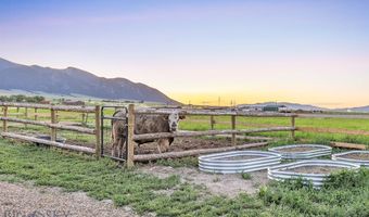17 Tex's Loop, Alder, MT 59710