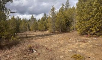 NKA E Lowland Drive, Athol, ID 83801