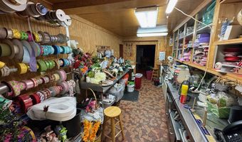 161 Blackshear Hwy, Baxley, GA 31513