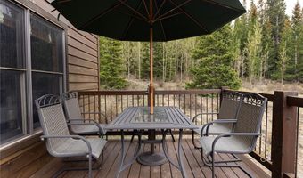 522 COUNTY ROAD 4, Alma, CO 80420
