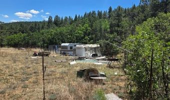 17775 County Road 51, Boncarbo, CO 81024
