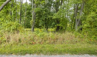 V/L 60th St Par C, Alto, MI 49302