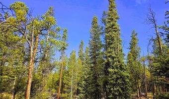 PCS # 7765 & 12057 Rollies Trail lot 0, Alma, CO 80420