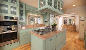 715 W Smuggler St, Aspen, CO 81611