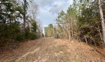 SE Lee Drive, Bogue Chitto, MS 39629