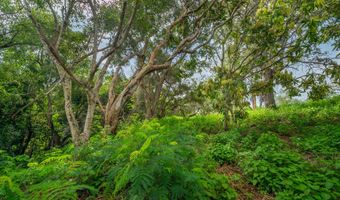 APOPO RD, Kapaa, HI 96746