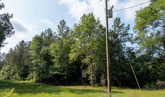 10 AC +/- Gravel Pit Lake Rd, Beaumont, MS 39423