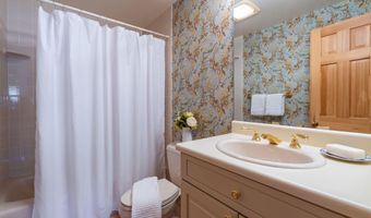 679 Brush Creek & Tbd Medicine Bow Rd, Aspen, CO 81611