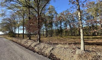 10 43ac CR 193, Blue Springs, MS 38828