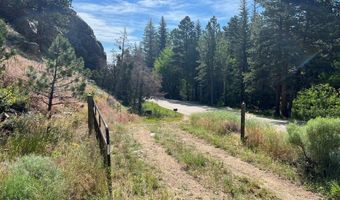 32160 Poudre Canyon Rd, Bellvue, CO 80512