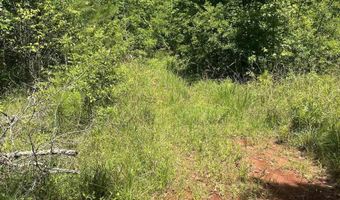 385 CARR Rd, Alpine, AL 35014